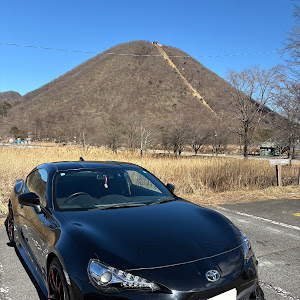 86 ZN6