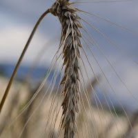 linee e curva total nature di 