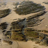 Passeggiando durante la bassa marea di 