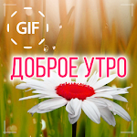 Cover Image of Download Russian Good Morning Good Day Gifs Images 1.05.9 APK