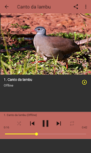 How to download Pássaros Inhambu 1.3 unlimited apk for pc