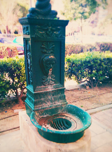 Fuente Del Cole