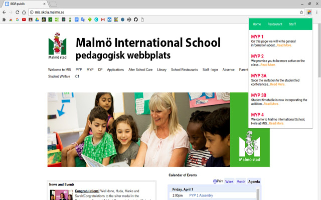 Malmo International School