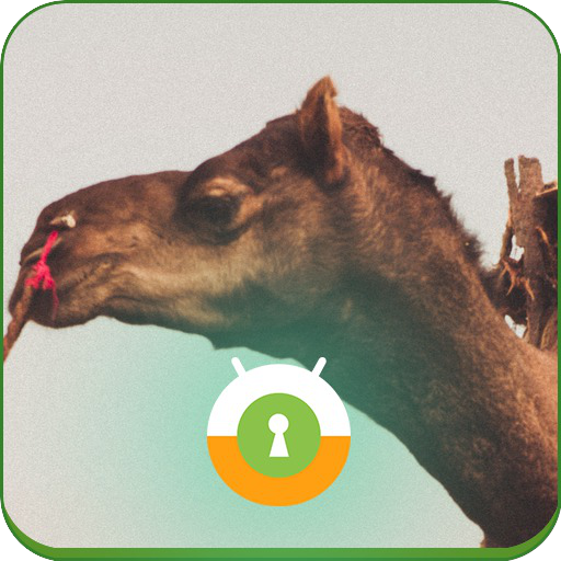 Pushkar Camel Wall & Lock 個人化 App LOGO-APP開箱王