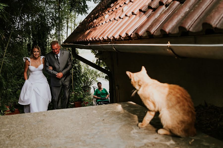 Wedding photographer Gábor Badics (badics). Photo of 24 October 2021