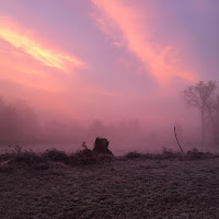 Cinquanta sfumature di nebbia mattutina di 