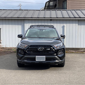 RAV4 MXAA54