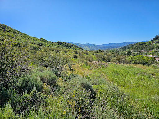 Land 1