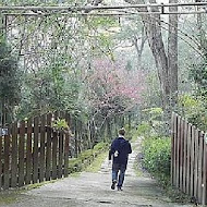 【南庄】李家莊美食景觀民宿