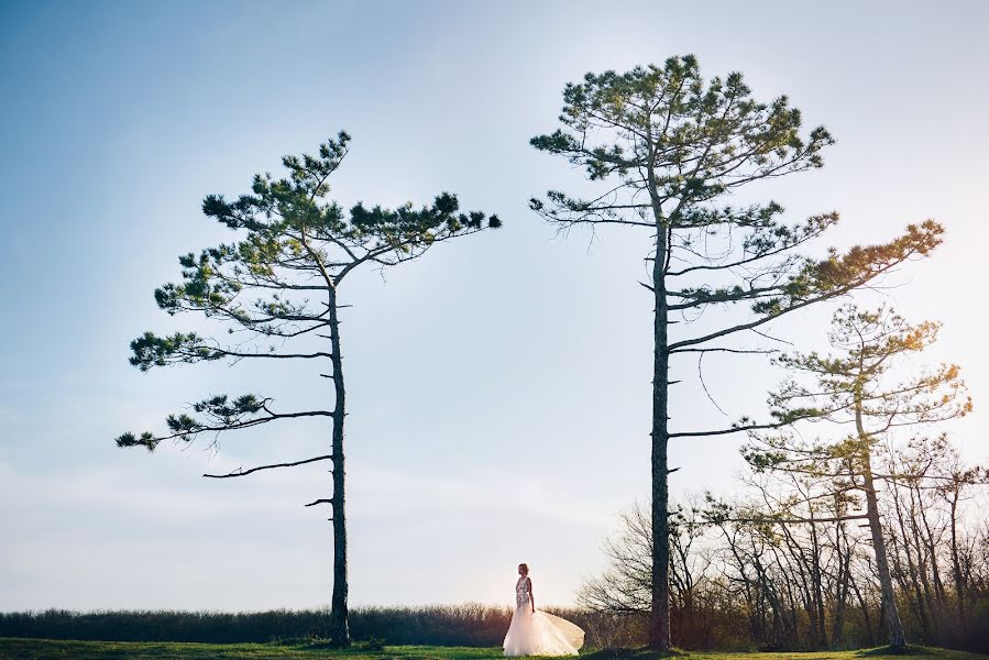 Fotografo di matrimoni Yuliya Stekhova (julistek). Foto del 19 aprile 2015