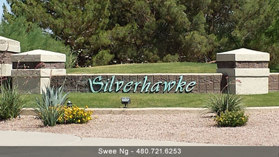 Silverhawke Gilbert AZ 85233 Homes for Sale