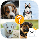 アプリのダウンロード Guess Dogs Breed on photos をインストールする 最新 APK ダウンローダ