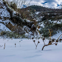 Seppellita nella neve di 