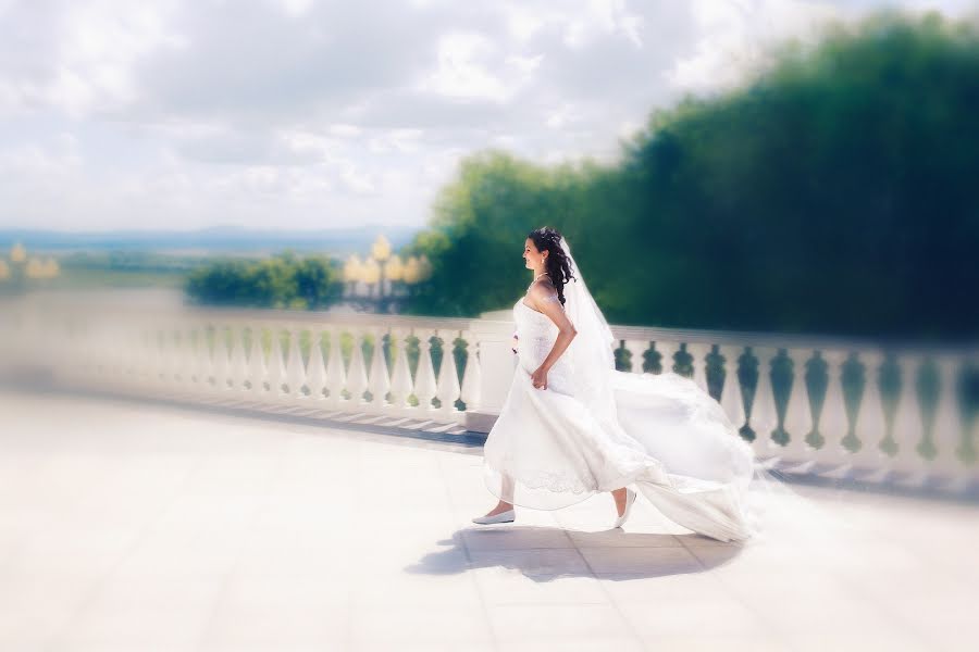 Fotografo di matrimoni Tatyana Assaulova (tanaydiz). Foto del 21 novembre 2013