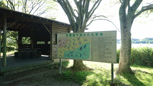 野鳥観察舎 Bird View Point 