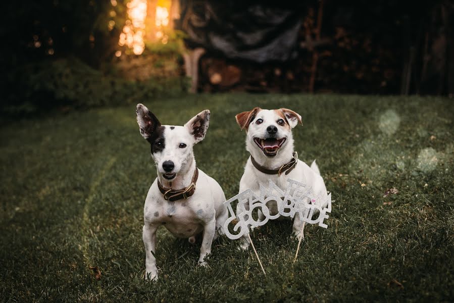 Wedding photographer Roman Huditsch (romanhuditsch). Photo of 23 August 2023