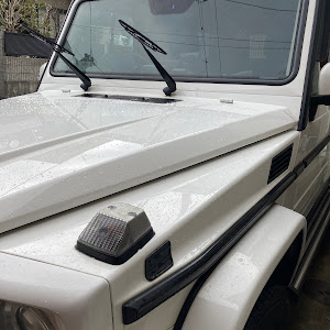 Gクラス W463