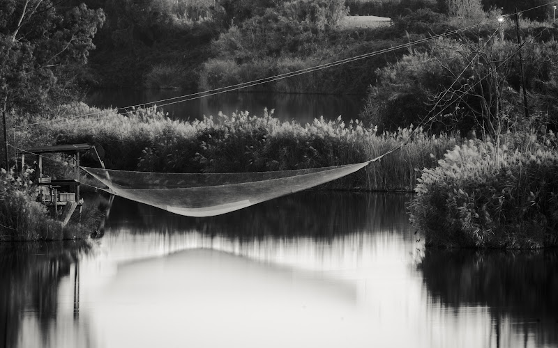 Capture di Giulia Franceschi