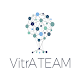 Vitra Team Download on Windows