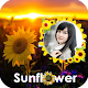 Download Sunflower Photo Frames For PC Windows and Mac 1.0