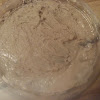 Baker's Yeast