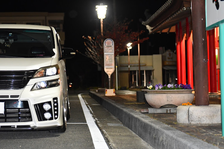 ヴェルファイアの久しぶりに投稿・超低空飛行・NikonD7500・GGH20W・12月もよろしくお願いしますに関するカスタム事例の投稿画像3枚目