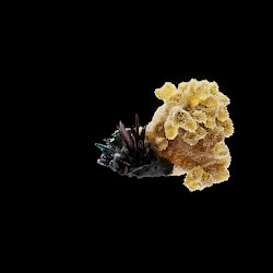 OG:Crystal 167