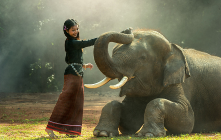Girl and elephant small promo image