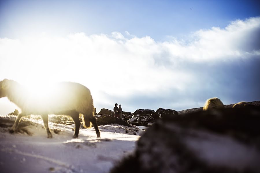 Svadobný fotograf Chris Sansom (sansomchris). Fotografia publikovaná 17. januára 2015