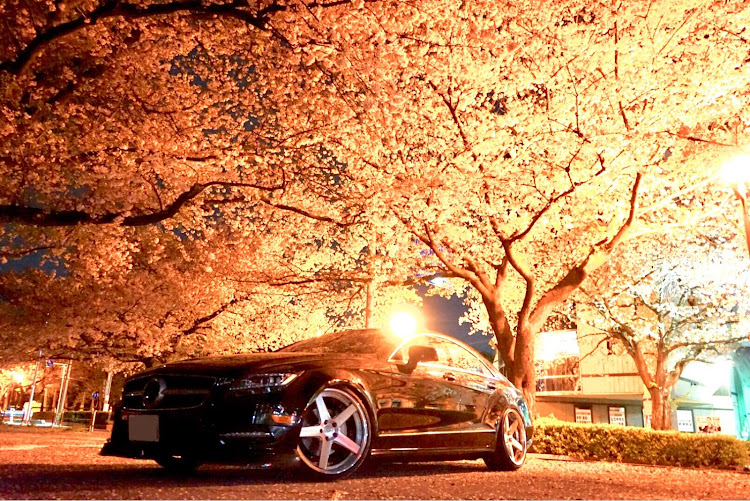CLSクラス クーペの30アルファード・Mercedes-Benz・22インチ・黒は大変・specialists☆に関するカスタム事例の投稿画像1枚目