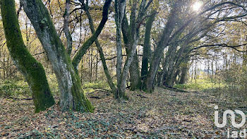 terrain à Méry-ès-Bois (18)