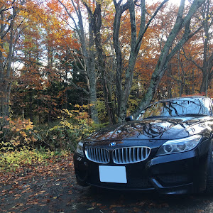 Z4 E89