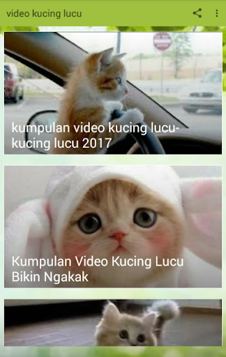 Download VIDEO KUCING LUCU TERBARU Google Play softwares