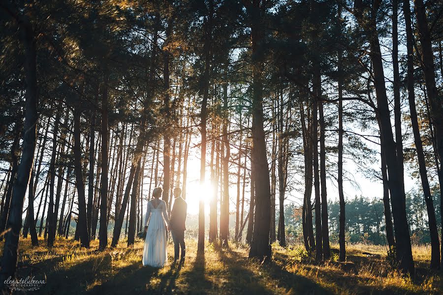 Fotógrafo de bodas Elena Tolubeeva (itzy). Foto del 24 de octubre 2017