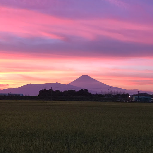 じゃかのプロフィール画像