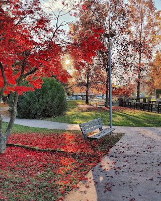 I colori d' autunno di ChiaraManente