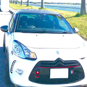 DS3