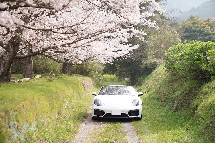 ボクスターの桜とコラボ・桜と愛車・ポルシェ・ボクスターに関するカスタム事例の投稿画像4枚目