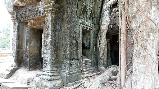 Tomb Raider Movie Temple (Ta Prohm) Cambodia 2016