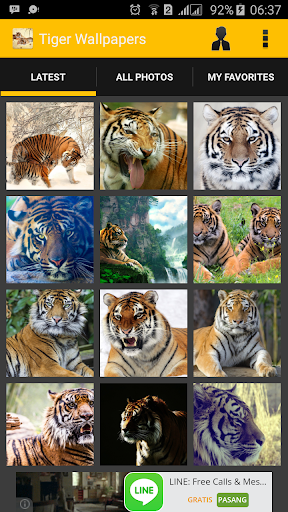 1000 Tiger Wallpapers Free