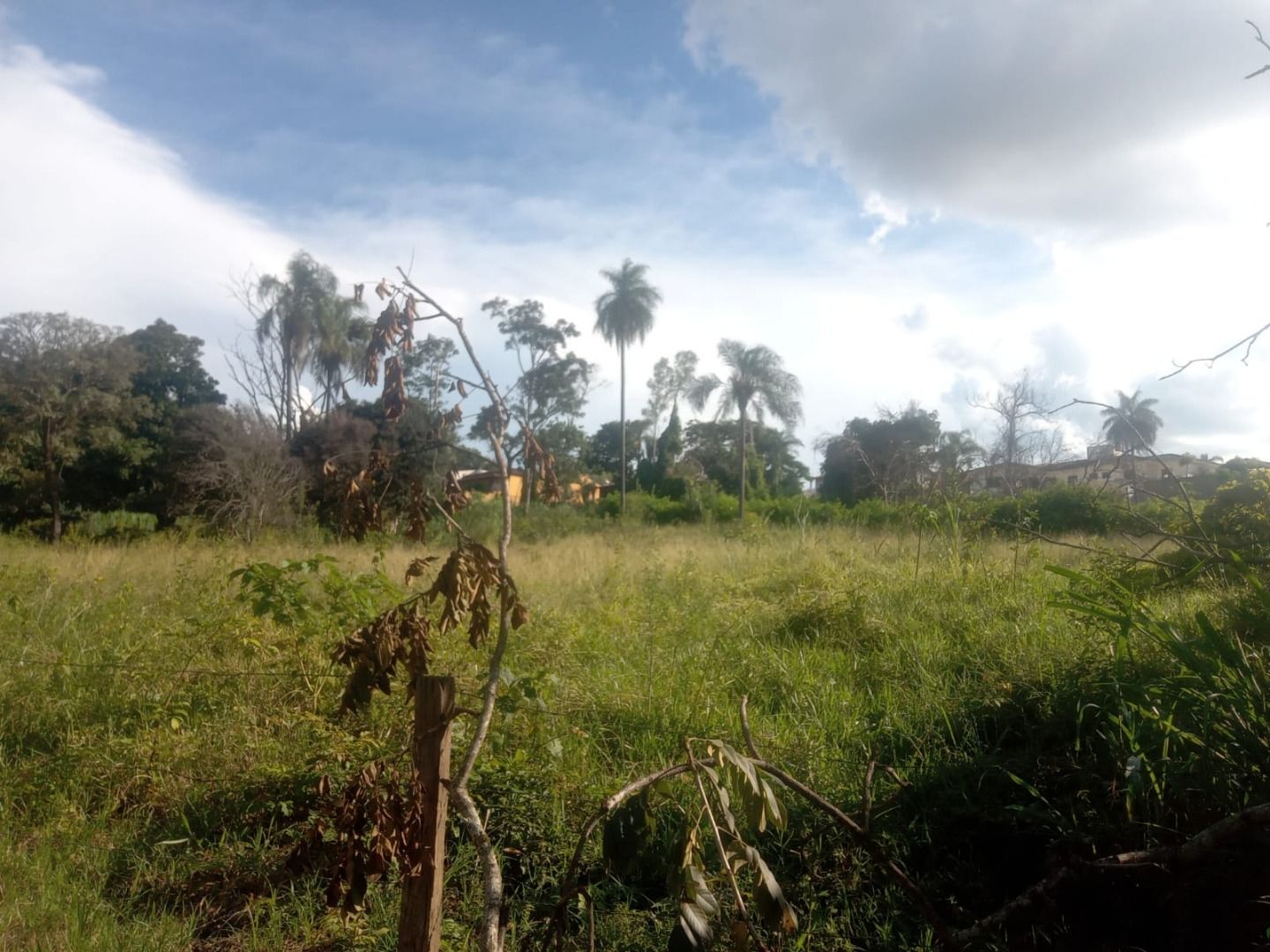 Terrenos à venda Centro