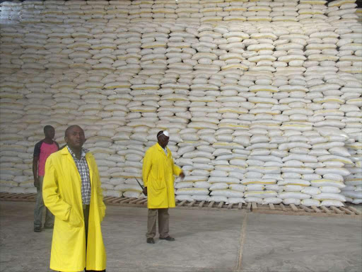 NCPB workers inspecting old maize stocks at the NCPB in Eldoret