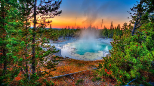 Yellowstone Live Wallpaper