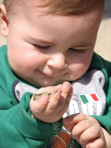 PICCOLA TERRA IN PICCOLE MANI di flavia scisciot