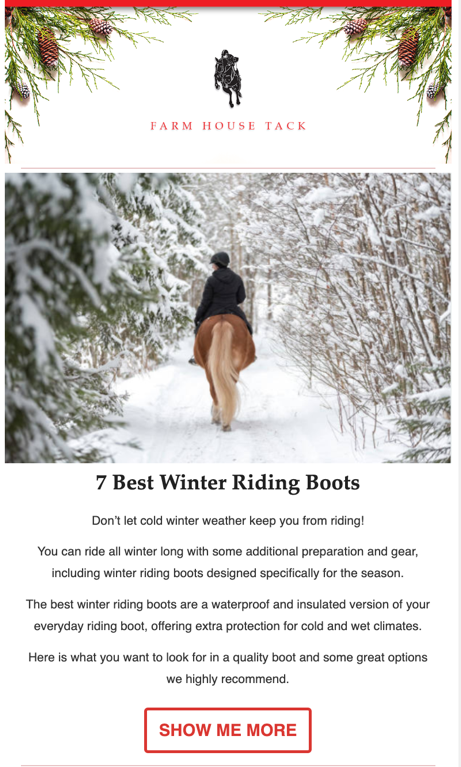 A person riding a horse in the snow

Description automatically generated with medium confidence