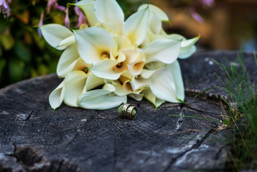 Bryllupsfotograf Alena Medenceva (medentseva). Bilde av 28 august 2018