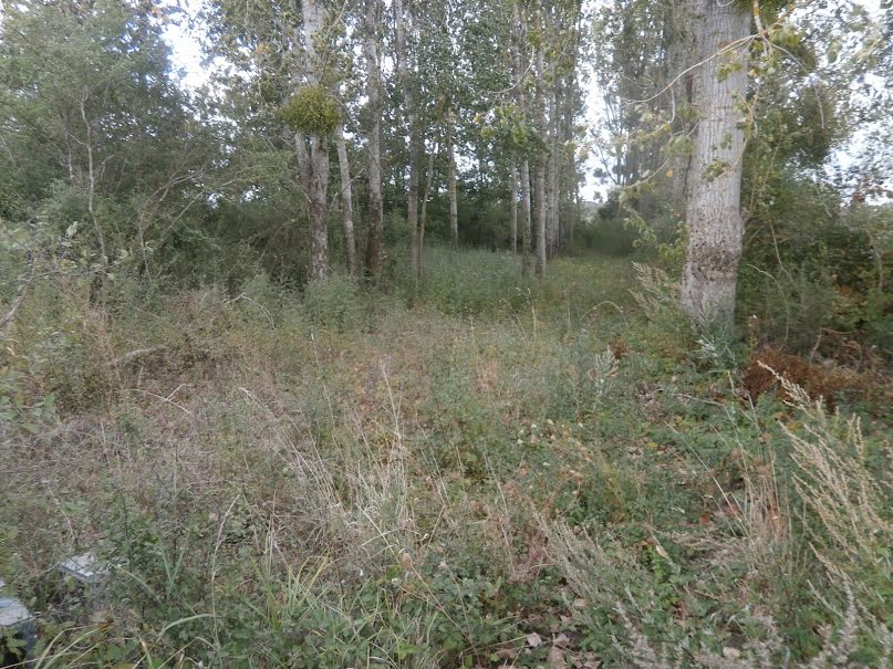 Vente terrain  2370 m² à Saint-georges-sur-la-pree (18100), 20 000 €