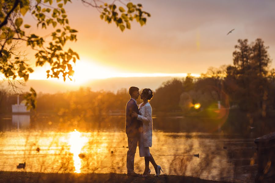 Photographe de mariage Anna Averina (averinafoto). Photo du 31 octobre 2015