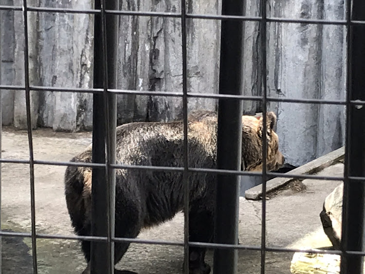 ナムさんが投稿した旭山動物園・北海道に関するカスタム事例の投稿画像12枚目