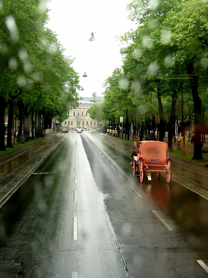 Pioggia a vienna di feeviviane